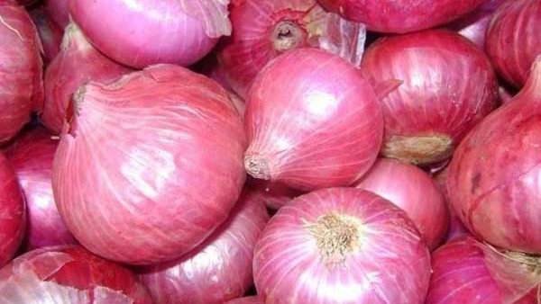 ರಫ್ತು ನಿಷೇಧದಿಂದ ಕ್ವಿಂಟಾಲ್ ಈರುಳ್ಳಿ ಬೆಲೆ ಇಳಿಕೆ