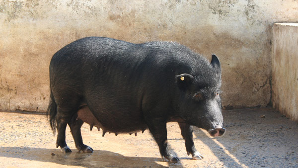 2019ರ ಏಪ್ರಿಲ್ 22ರಂದು ನೀಡಿದ ತೀರ್ಪು