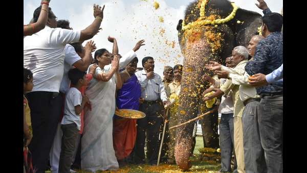 ತಾವೇನೆಂದು ಒಂದು ವರ್ಷದಲ್ಲಿ ತೋರಿಸಿದ್ದಾರೆ