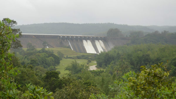 ವಿನಾಶವಾಗುವ ಅರಣ್ಯ ಅನೇಕ ಅವಘಡಗಳಿಗೆ ಕಾರಣ