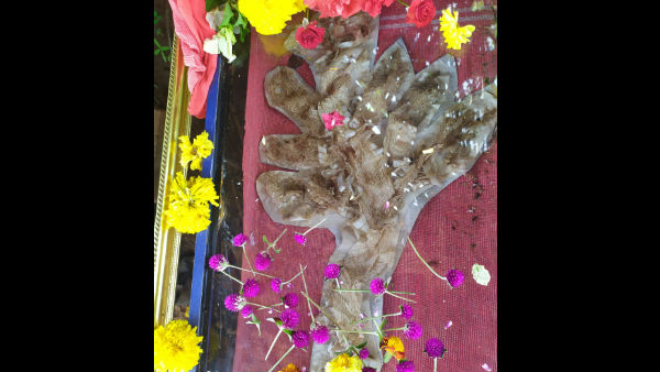 ಆರು ತಿಂಗಳ ಹಿಂದೆಯೂ ಕಂಡುಬಂದಿದ್ದ ಹಾವಿನ ಪೊರೆ