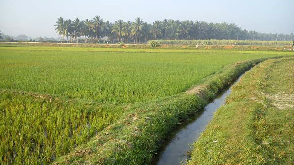 ಆರೋಗ್ಯವೇ ಭಾಗ್ಯ