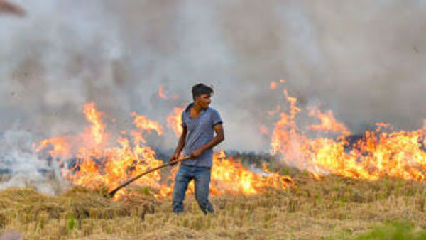ಗುಜರಾತ್, ಹರಿಯಾಣದಲ್ಲಿ ಬೆಳೆಗೆ ಬೆಂಕಿ
