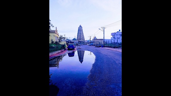 ಮನಸ್ಸಿಗೆ ಮುದ ನೀಡುವ ನೋಟ