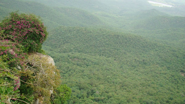 ವಾಣಿಜ್ಯ ಚಟುವಟಿಕೆಗಳಿಗೆ ಕಡಿವಾಣ