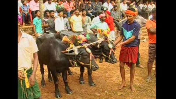 ಕಳೆದ ವರ್ಷ ಗ್ರೀನ್ ಸಿಗ್ನಲ್ ಕೊಟ್ಟಿದ್ದ ಕೋರ್ಟ್