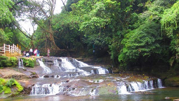 ಆರ್ಗ್ಯಾನಿಕ್ ಇಂಜಿನಿಯರಿಂಗ್