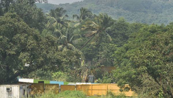ಯೋಜನೆಗಾಗಿ 2 ಸಾವಿರ ಮರಗಳಿಗೆ ಕೊಡಲಿ ಏಟು!