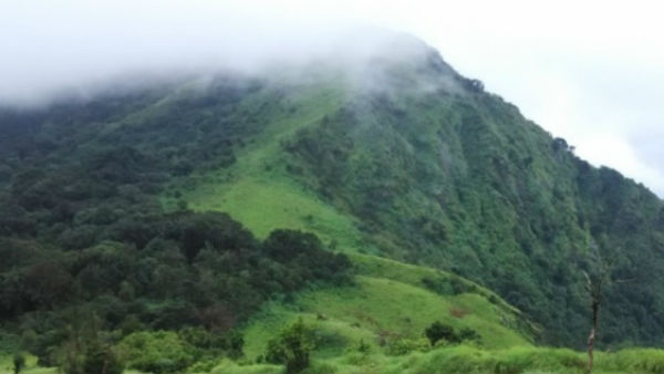 ಗಾಳಿಗೆ ತೂರಿಹೋದ ಕಾನೂನು
