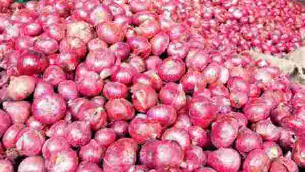 ಬ್ರೆಜಿಲ್ ಮಾದರಿ ದಾಸ್ತಾನು