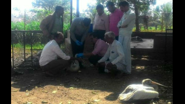 ಮರುಕಳಿಸೀತೇ ಕಳೆದ ವರ್ಷದ ಘಟನೆ?