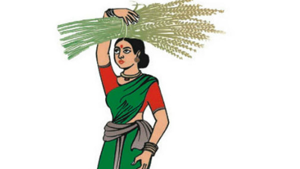 ಮಾಗಡಿಯಲ್ಲಿ ಜೆಡಿಎಸ್ ಮೈಲುಗೈ