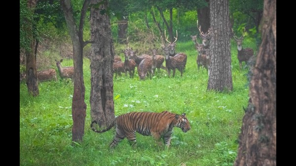 ಚುಮು ಚುಮು ಚಳಿಯಲ್ಲಿ ಸುಂದರ ಬೆಳಗು