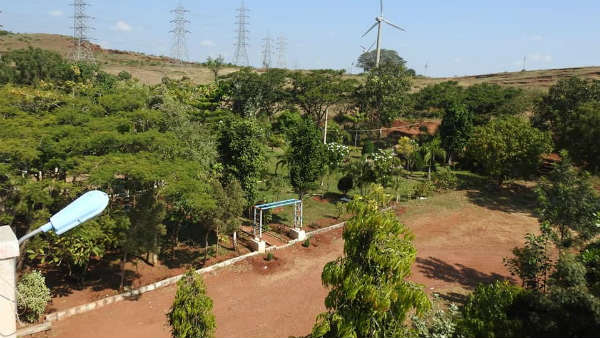 ಹಣ್ಣ, ಹೂವಿನ ಗಿಡಗಳು