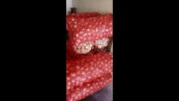 ಟರ್ಕಿ ಟು ಮಂಗಳೂರಿಗೆ ಈರುಳ್ಳಿ