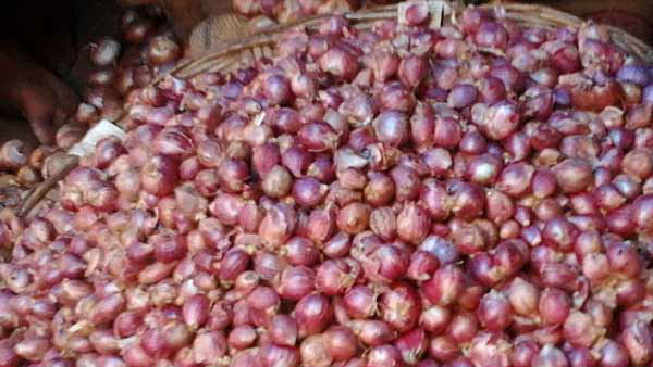 ಈಜಿಪ್ಟ್ ಈರುಳ್ಳಿ ಬಂದರೆ ಬೆಲೆ ಎಷ್ಟಾಗುತ್ತೆ?
