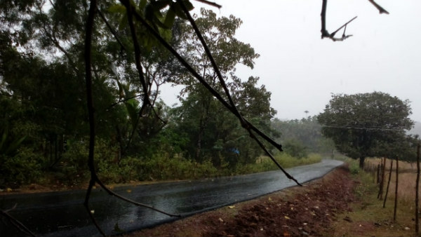 ಅಳಿದುಳಿದ ಬೆಳೆ ಮೇಲೂ ಮಳೆರಾಯನ ಕಣ್ಣು