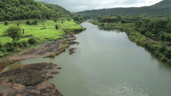 ನೈಸರ್ಗಿಕ ವೈವಿದ್ಯತೆಗೆ ಧಕ್ಕೆ