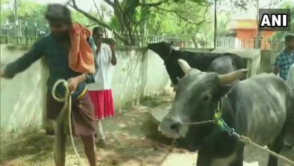 ಮೂರು ಕಡೆಗಳಲ್ಲಿ ಒಂದೊಂದು ದಿನ ಆಚರಣೆ