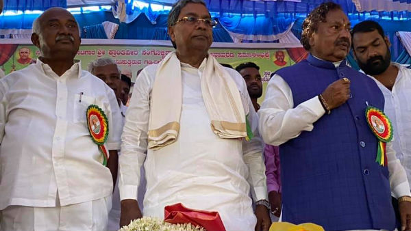 ನಾವಿಬ್ಬರು ಸಸ್ಯಹಾರಿಗಳು