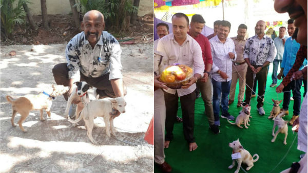 ಬೀದಿನಾಯಿಗಳಿಗೆ ವ್ಯಾಕ್ಸಿಂಗ್, ಕ್ಲಿನಿಂಗ್, ವಾಕಿಂಗ್!