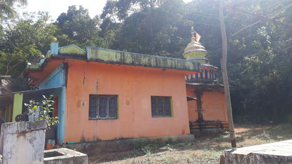 ದೇವಿಯ ಅರಣ್ಯ ಇಂದಿಗೂ ಹಸಿರು