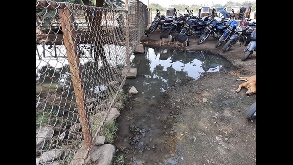 ಸುಮ್ಮನಿದ್ದಾರಲ್ಲ ಶ್ರೀರಾಮುಲು