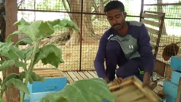 ಎಂಟು ವರ್ಷಗಳಿಂದ ಜೇನುಕೃಷಿ