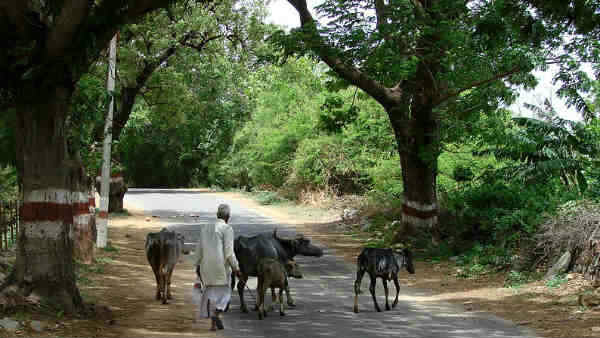 ಜಿಲ್ಲಾಧಿಕಾರಿಗಳಿಂದ ಇಲ್ಲ ಸ್ಪಂದನೆ: ಯೋಧ ವಿಠಲ್