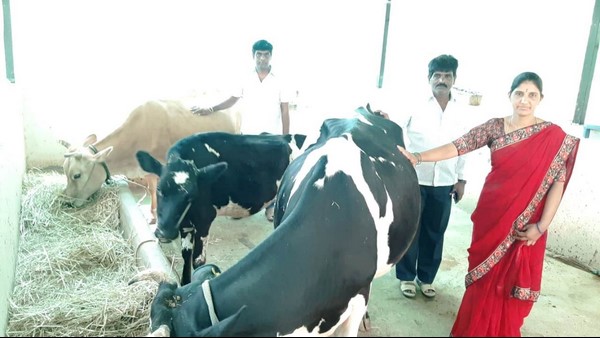 ಮಗನ ಕೃಷಿ ಕೆಲಸಕ್ಕೆ ತಂದೆ ತಾಯಿ ಸಾಥ್