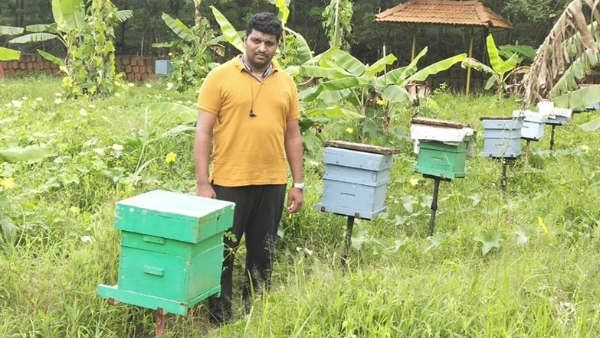 ತೋಟಗಾರಿಕಾ ಇಲಾಖೆ ಸಹಾಯ