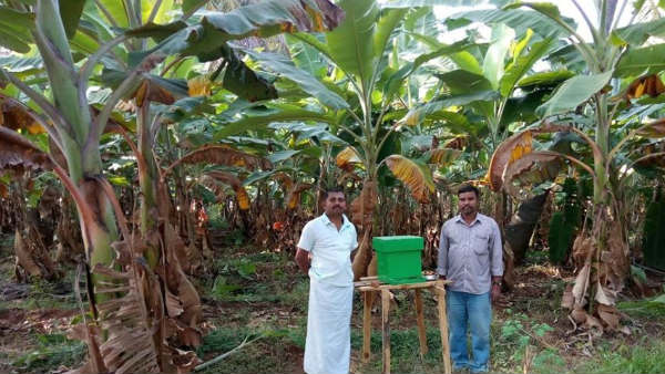 10 ಜೇನು ಪೆಟ್ಟಿಗೆ