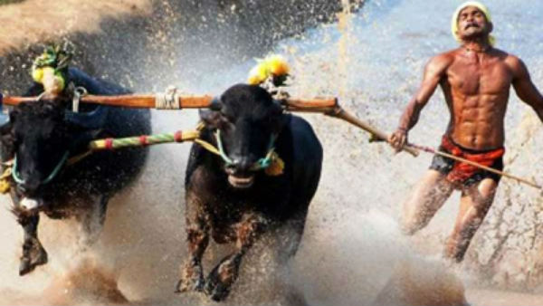 100 ಮೀಟರ್ ಗೆ ಇಳಿಸಿ ಹೋಲಿಕೆ ಮಾಡಿದರೆ