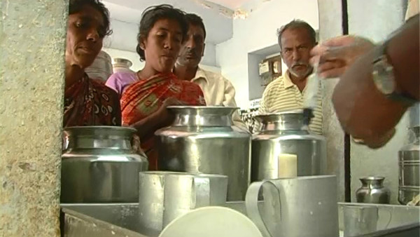 ಮೇವು ಬೆಳೆಯಲು ಸಹಾಯಧನ