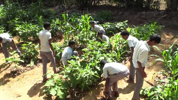 ಶಾಲಾ-ಕಾಲೇಜು ವಿದ್ಯಾರ್ಥಿಗಳಿಗೆ ಕೃಷಿ ಮಾಹಿತಿ