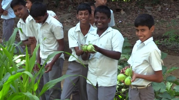 ಸಂಪೂರ್ಣ ಸಾವಯುವ ಕೃಷಿ