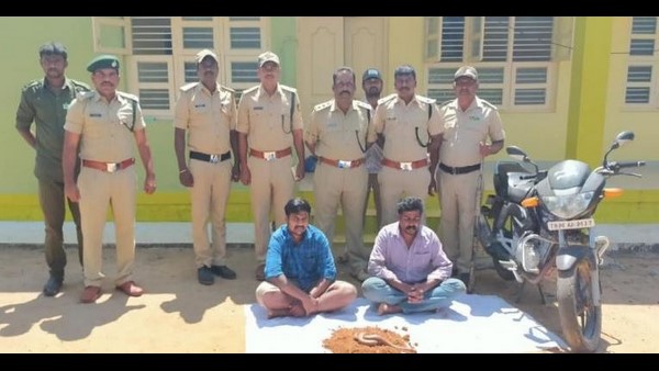 ಅವರ ಚೀಲದಲ್ಲಿತ್ತು ಎರಡು ತಲೆ ಹಾವು