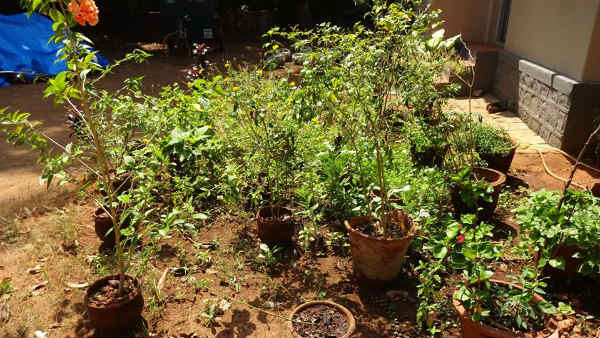 ಗೊಬ್ಬರ ತಯಾರಿ ಆರಂಭ