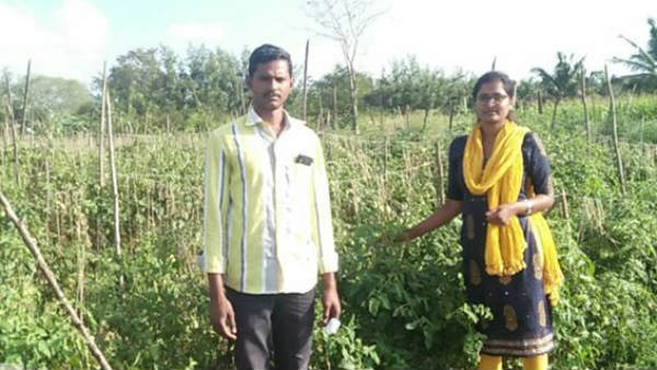 6 ಎಕರೆಯಿಂದ 20 ಲಕ್ಷ ಆದಾಯ