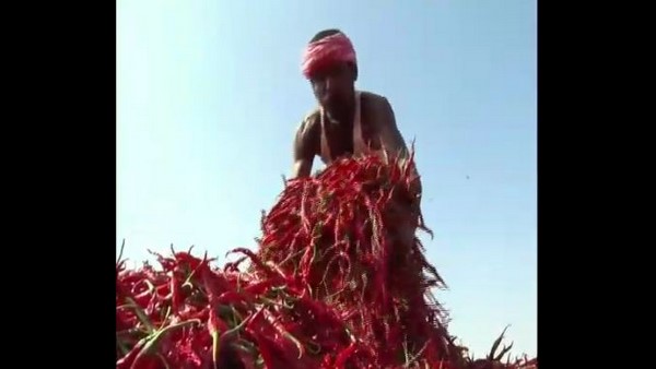 ಕೊರೊನಾ ವೈರಸ್ ನಿಂದ ಕರ್ನಾಟಕದಲ್ಲಿ ಕಟ್ಟೆಚ್ಚರ