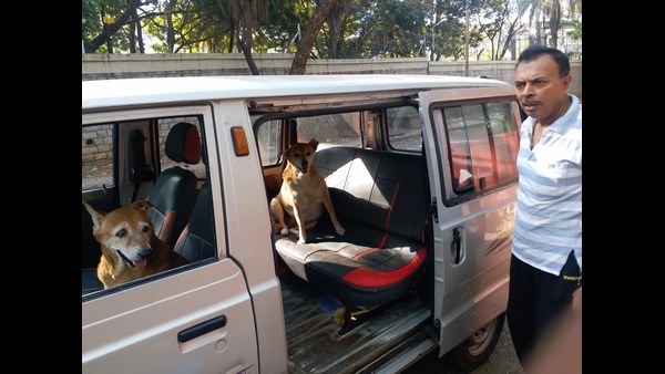 ಪ್ರಾಣಿ ಹಕ್ಕು ಕಾರ್ಯಕರ್ತರನ್ನು ಸಂಪರ್ಕಿಸಿ