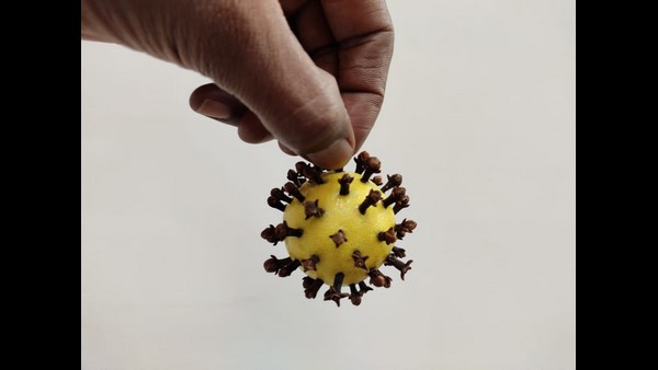 ನಿಂಬೆಹಣ್ಣು, ಲವಂಗ ಬಳಸಿ ಕೊರೊನಾ ಕಲಾಕೃತಿ