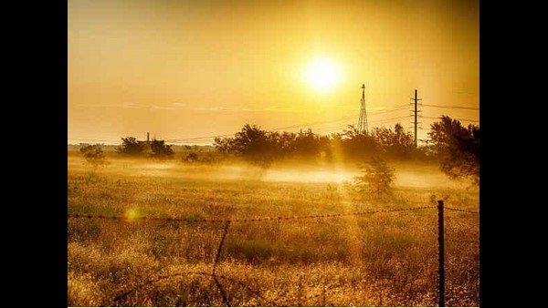 ವೈರಾಣು ಹಬ್ಬಲು ಪರಿಸರ ಸಹಕಾರಿ ಆಗಿಲ್ಲ!