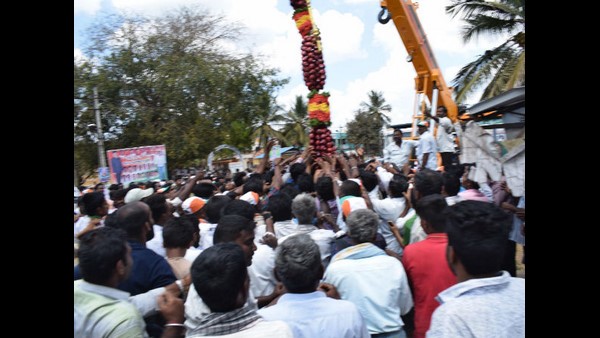 ಸೇಬಿನ ಹಾರ ಬೇಡ