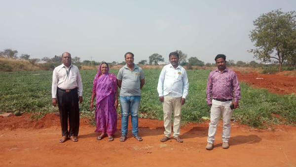 ನಾಟಿ ಮಾಡುವ ವಿಧಾನ
