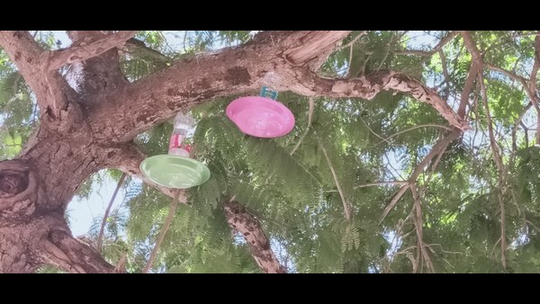 ಇತರರಿಗೂ ಮಾದರಿ ಇವರ ಕೆಲಸ