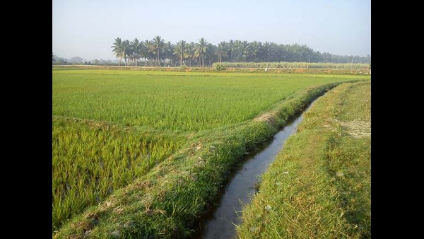 ಸಂಚಾರಿ ಕೃಷಿ ಹೆಲ್ತ್ ಕ್ಲಿನಿಕ್ ಪ್ರಾರಂಭ