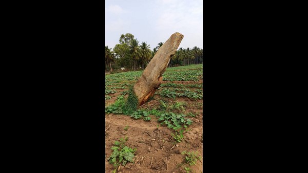 ಕರ್ನಾಟಕದಲ್ಲೇ ಅಪರೂಪದ ಸಮಾಧಿ
