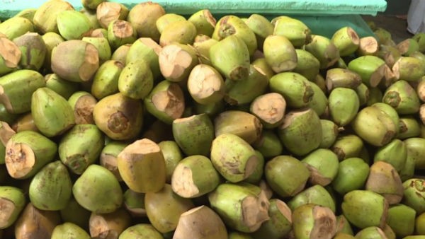 ಸೋಂಕು ತಡೆಗಟ್ಟಲು ಹೀಗೆ ಮಾಡಿ