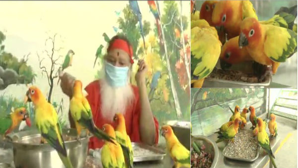 ಶುಕವನದಲ್ಲಿವೆ ಮೂರು ಸಾವಿರ ಗಿಳಿಗಳು